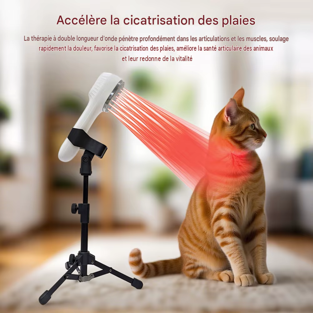 Thérapie à la lumière rouge infrarouge au Laser froid, physiothérapie 808nm