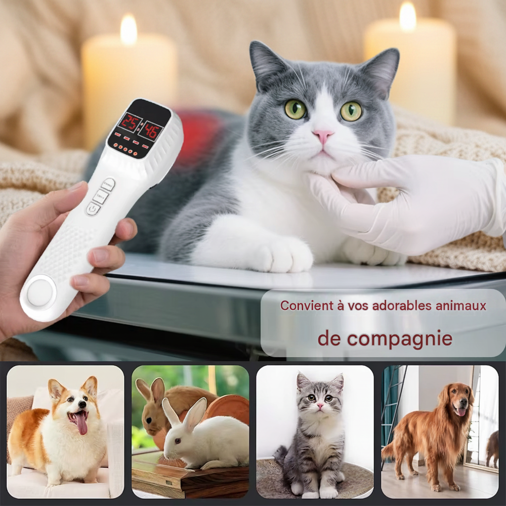 Thérapie à la lumière rouge infrarouge au Laser froid, physiothérapie 808nm