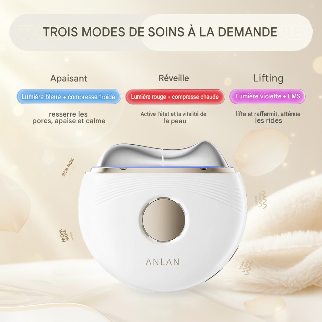 Masseur électrique Guasha EMS pour le visage lifting anti-âge raffermissement de la peau