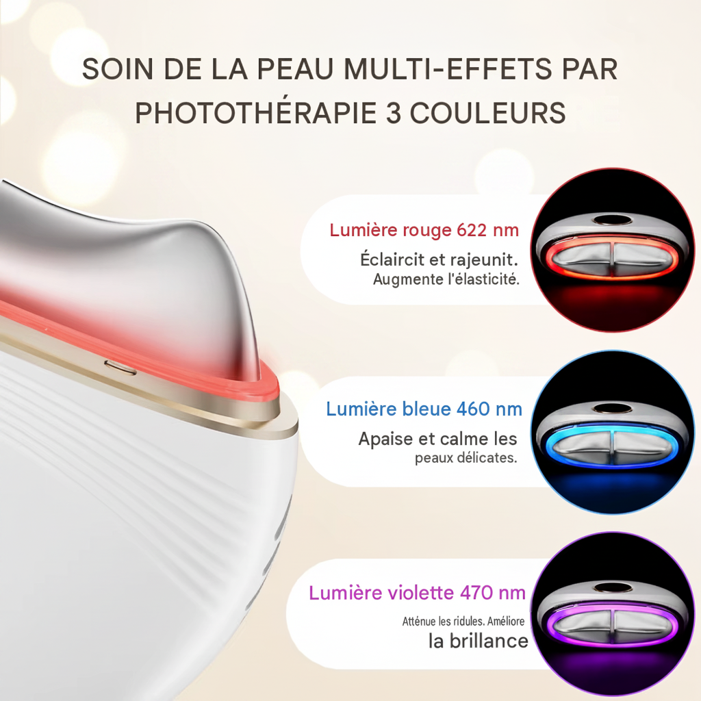 Masseur électrique Guasha EMS pour le visage lifting anti-âge raffermissement de la peau